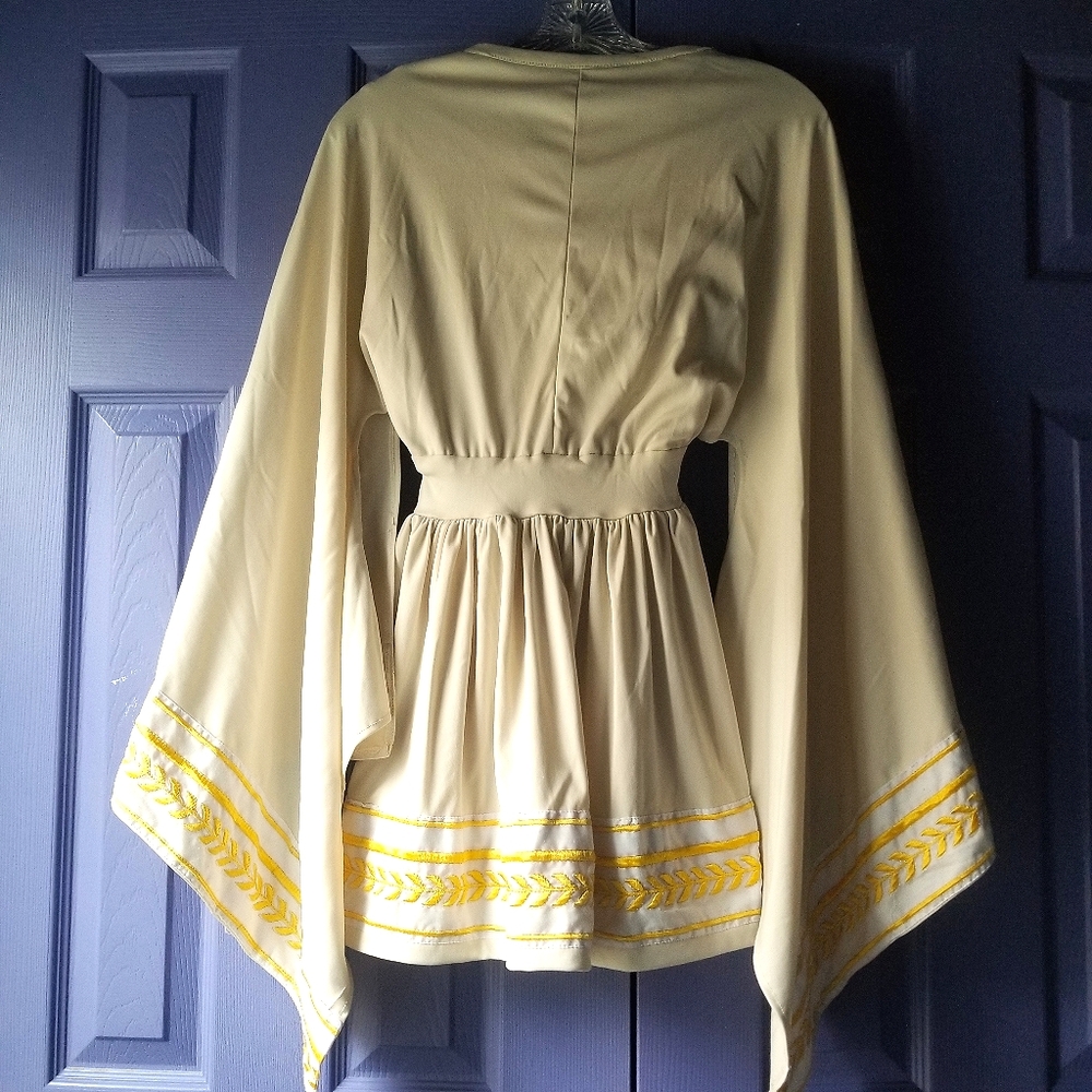 Grecian / Roman Costume Dress